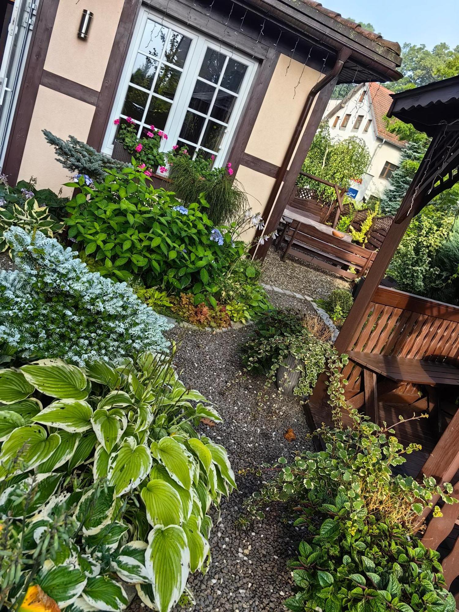 Willa San Remo Kudowa-Zdrój Exterior foto